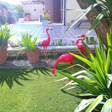 Casa Giardino Apartment San Benedetto del Tronto Bagian luar foto