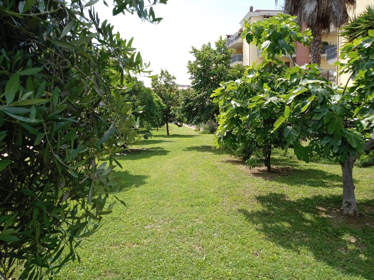 Casa Giardino Apartment San Benedetto del Tronto Bagian luar foto